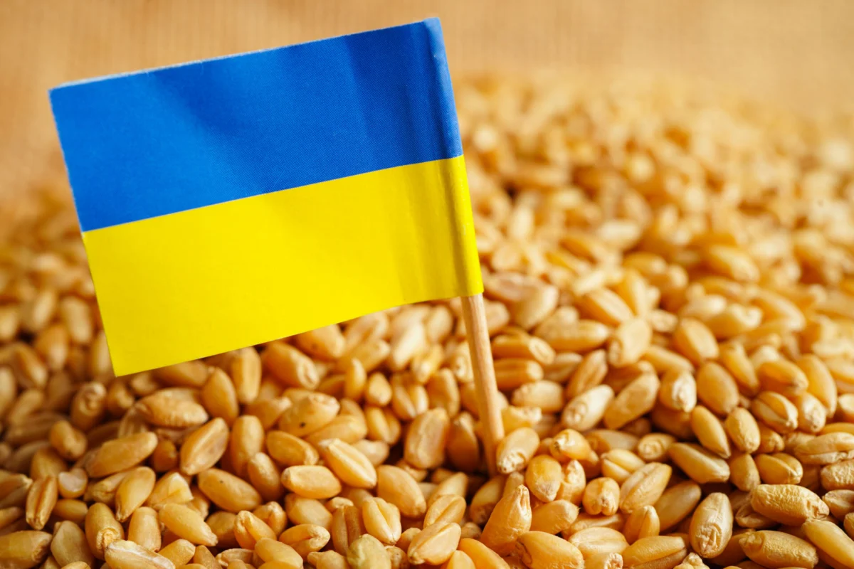 Why the EU-Ukraine DCFTA review matters