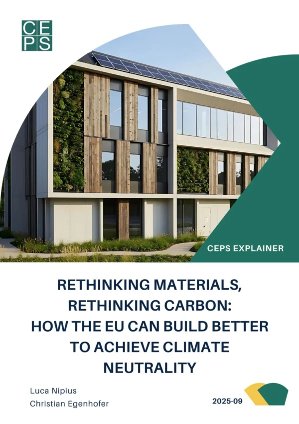 Rethinking materials, rethinking carbon: how the EU can build better to achieve climate neutrality