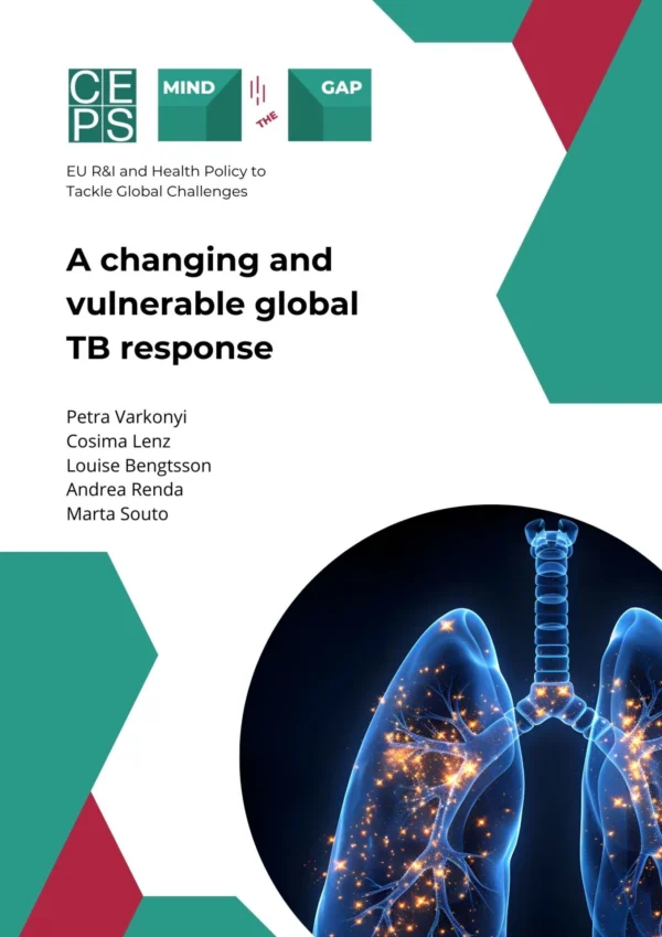 A changing and vulnerable global TB response