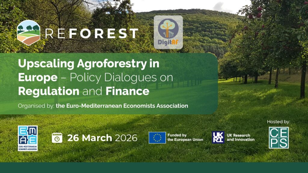 ReForest Final Event Visual 07 (2)