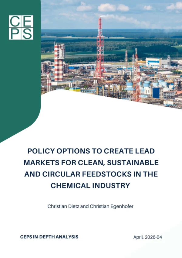 Policy options to create lead markets for clean, sustainable and circular feedstocks in the chemical industry