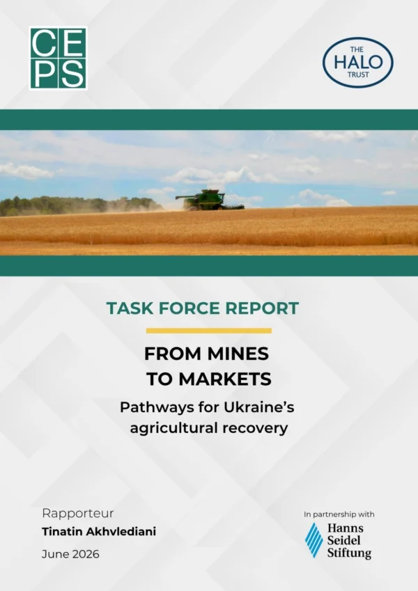 From mines to markets: pathways for Ukraine’s agricultural recovery