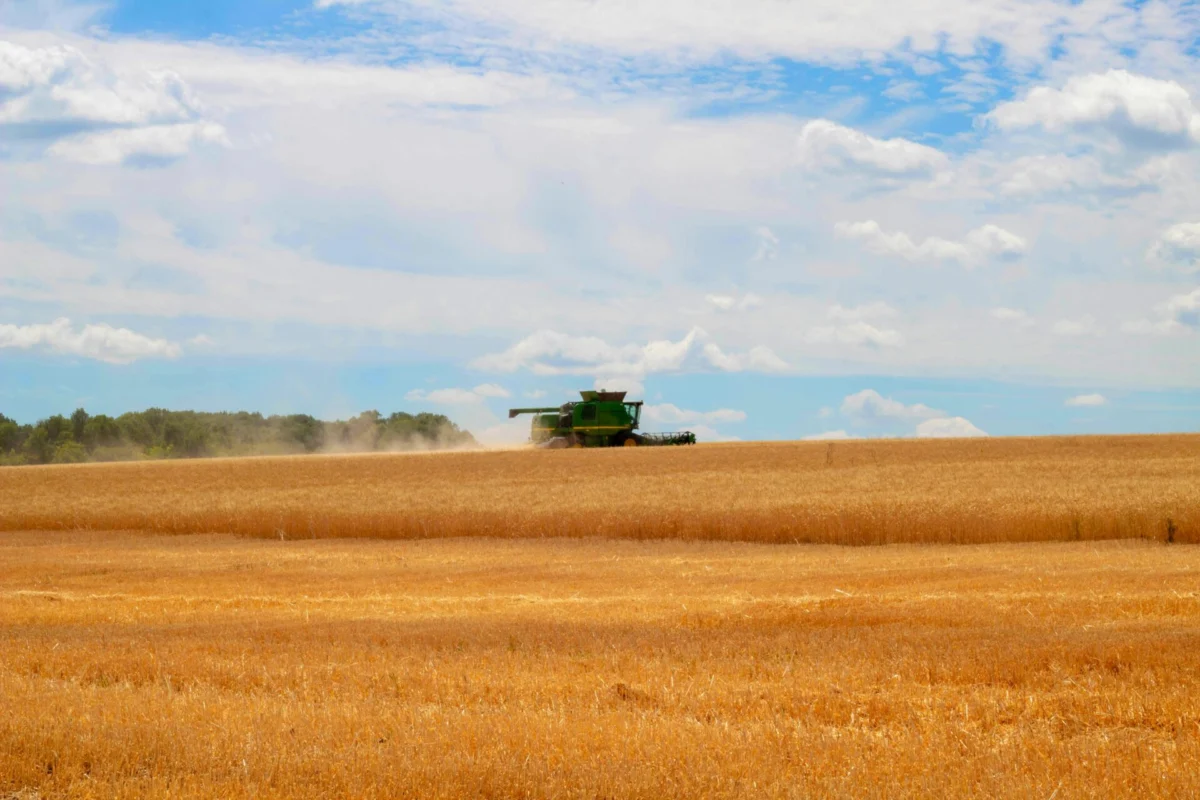 A ‘mines to market’ approach would best support Ukraine’s agricultural recovery