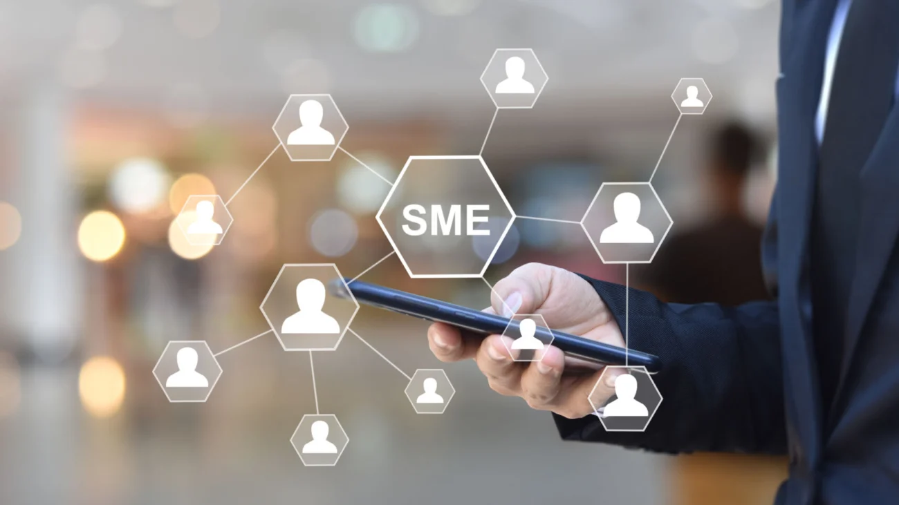 SMEs and the EU SME Test in practice: effectiveness and gaps – CEPS