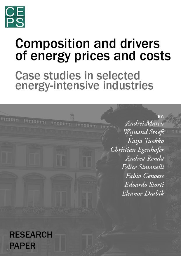 Composition and Drivers of Energy Prices and Costs CEPS