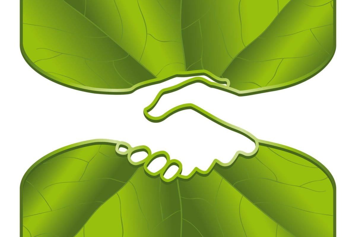 Making the political weather to combat climate change