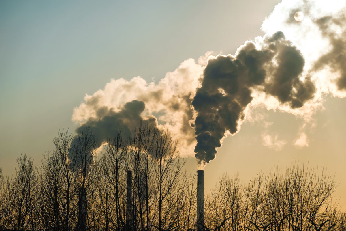A 2030 emissions target of net -55% means tough decisions on the bioeconomy can no longer wait