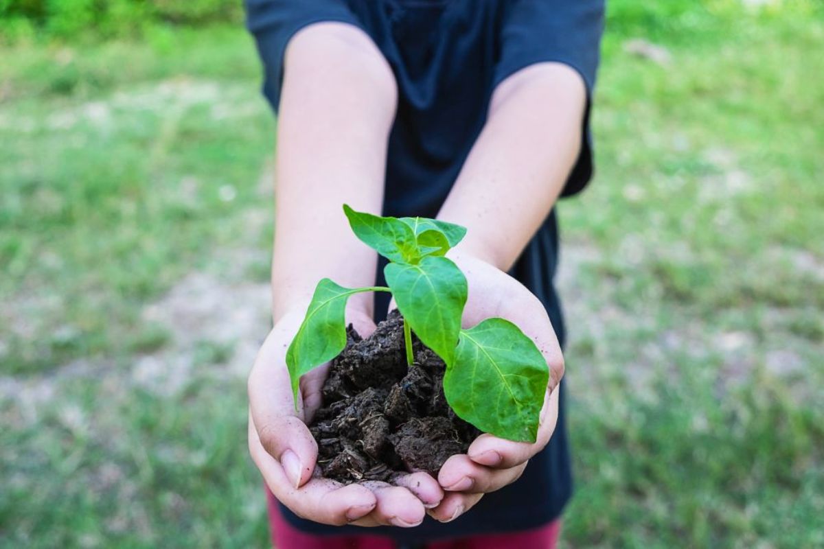 Fit for 55 – is the European Green Deal really leaving no-one behind?