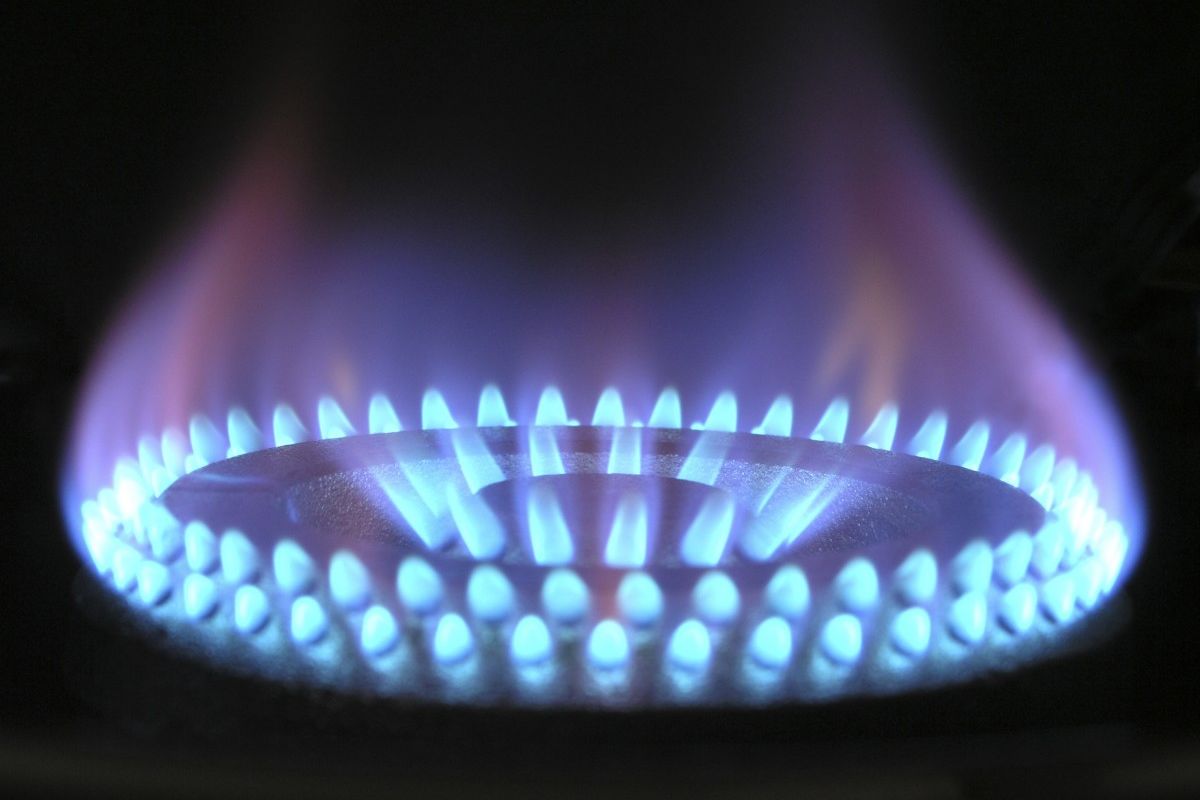 Is EU Joint Gas Purchasing really a bad idea?