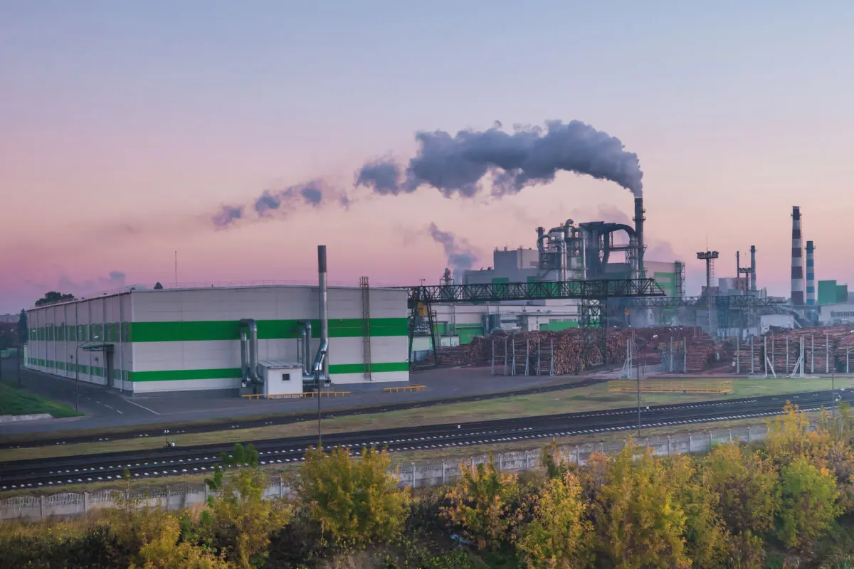 We have a case of sustainability reporting overload. The EU needs a smarter fix